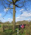 Winterwandeling op 2-3-2014 org. Armand en Judith Menten (3)